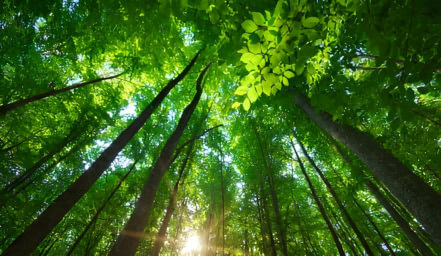 bottom_img4 bottom_img4